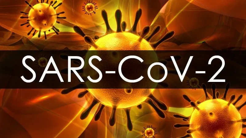 Illustration of the SARS-CoV-2 virus